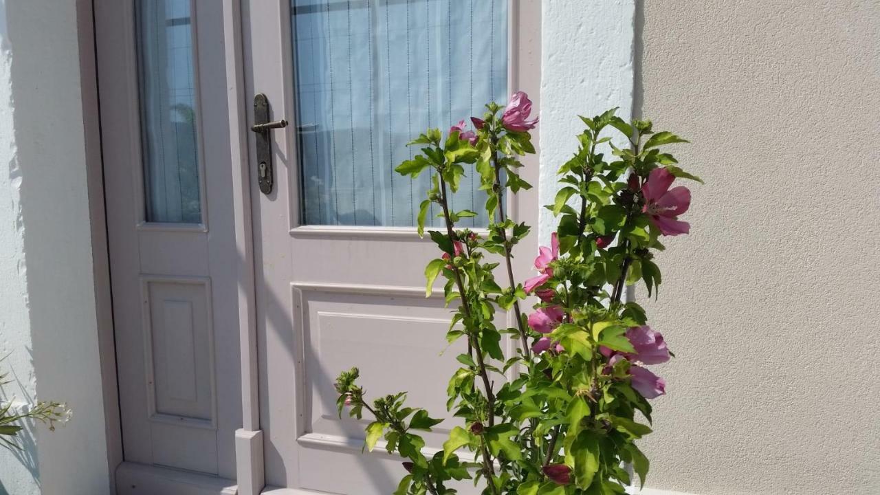 Vila Flora Sečovlje Eksteriør billede